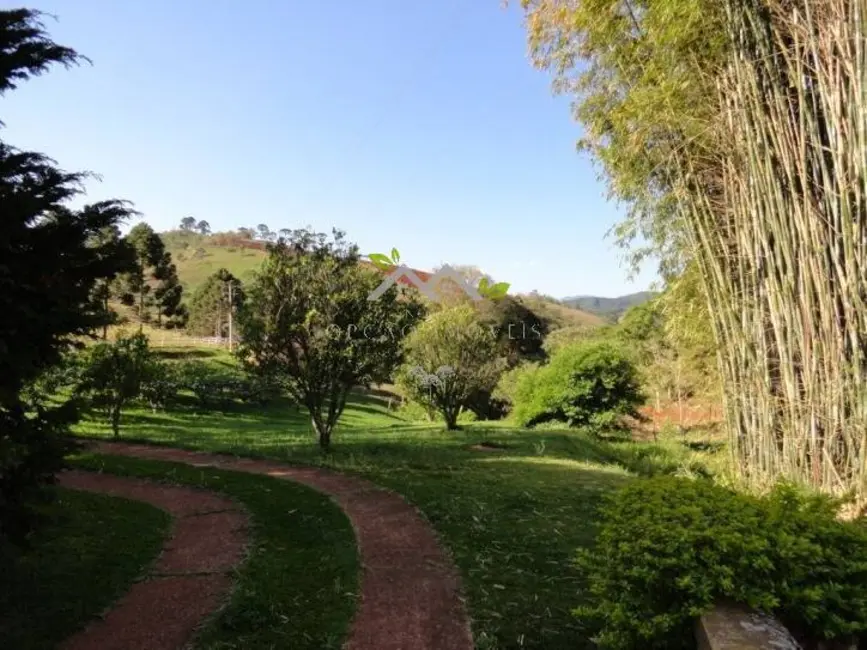 Foto 6 de Fazenda / Haras à venda, 1000m2 em Santo Antonio Do Pinhal - SP