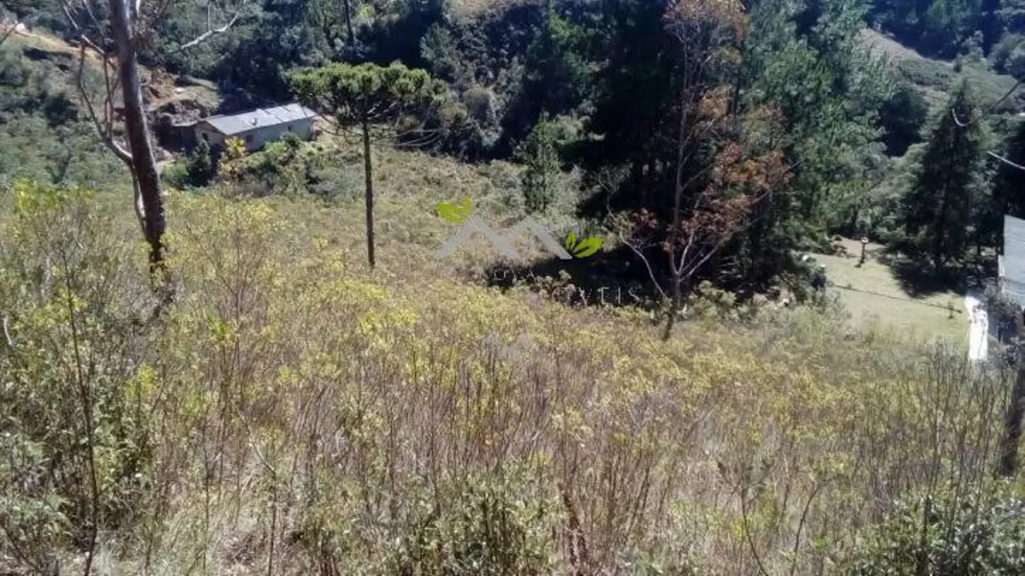 Foto 4 de Terreno / Lote à venda, 1208m2 em Campos Do Jordao - SP
