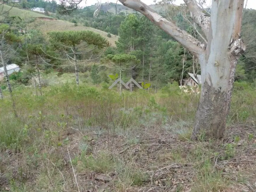 Foto 3 de Terreno / Lote à venda, 1208m2 em Campos Do Jordao - SP