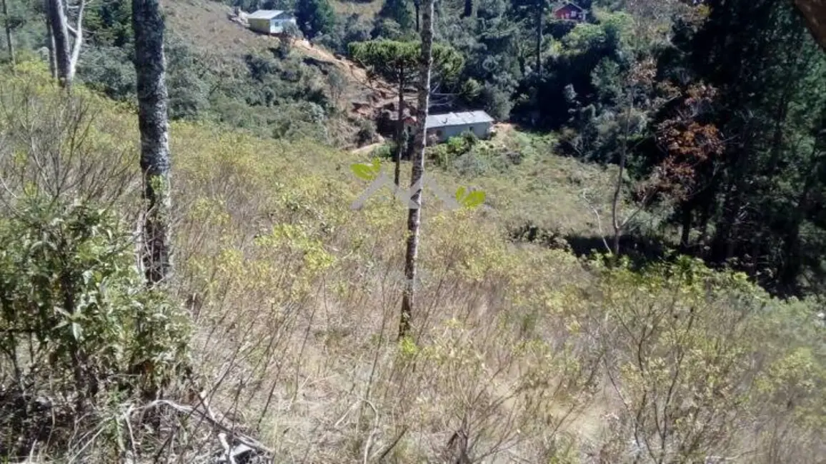 Foto 5 de Terreno / Lote à venda, 1208m2 em Campos Do Jordao - SP