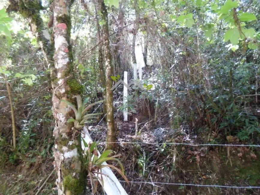 Foto 5 de Terreno / Lote à venda, 1100m2 em Campos Do Jordao - SP