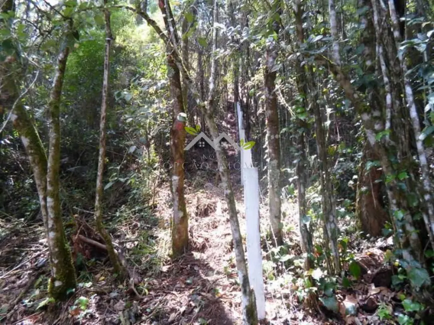 Foto 4 de Terreno / Lote à venda, 1100m2 em Campos Do Jordao - SP