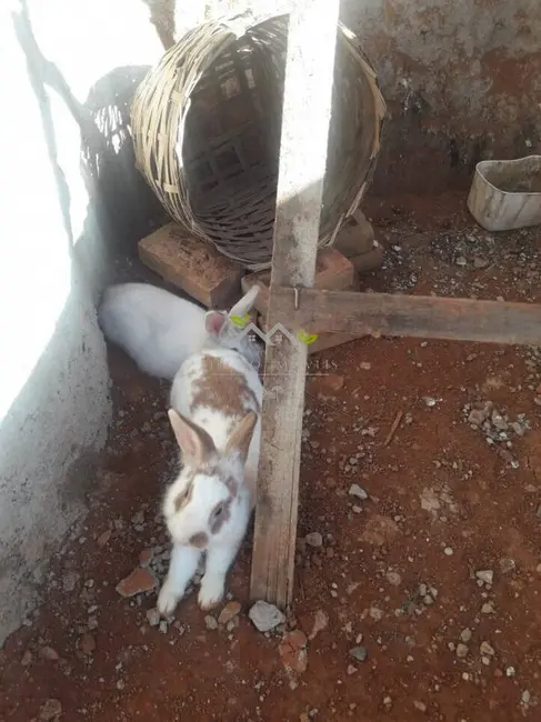 Foto 32 de Chácara à venda, 390m2 em Ribeirão Grande, Pindamonhangaba - SP
