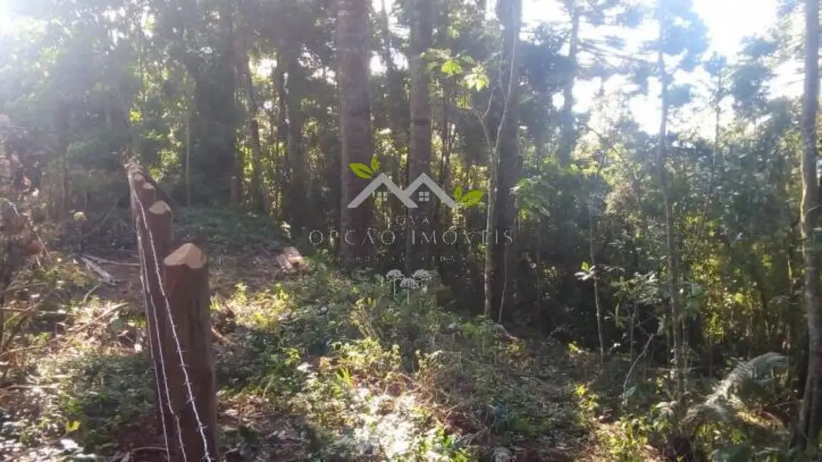 Foto 3 de Terreno / Lote à venda, 1025m2 em Campos Do Jordao - SP