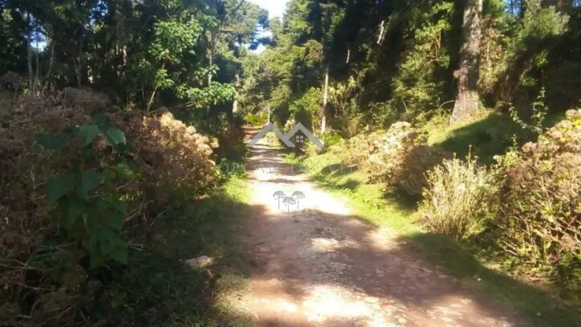 Foto 9 de Terreno / Lote à venda, 1025m2 em Campos Do Jordao - SP
