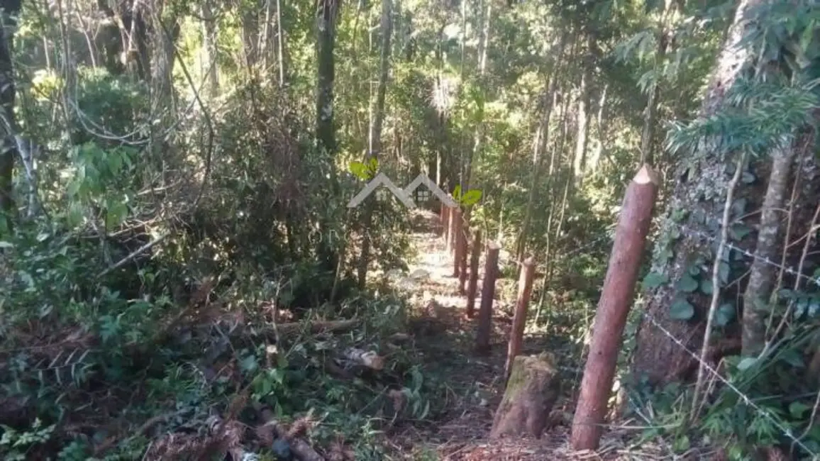 Foto 7 de Terreno / Lote à venda, 1025m2 em Campos Do Jordao - SP