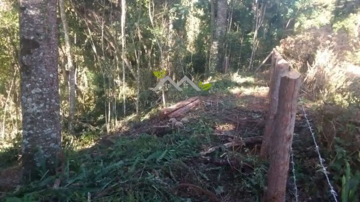 Foto 6 de Terreno / Lote à venda, 1025m2 em Campos Do Jordao - SP