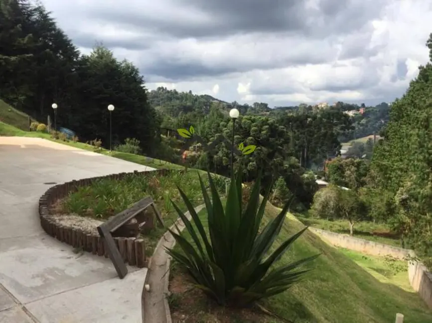 Foto 4 de Casa com 3 quartos à venda, 435m2 em Campos Do Jordao - SP