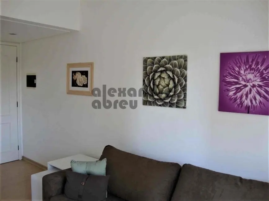 Foto 8 de Apartamento com 1 quarto para alugar, 35m2 em Vila Suzana, São Paulo - SP