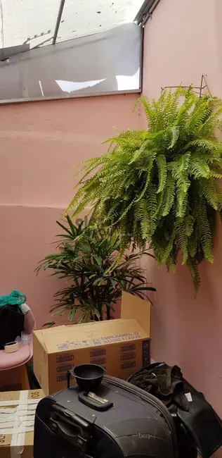 Sobrado com 2 quartos para alugar, 120m2 em Pinheiros, São Paulo - SP - imagem 3 Foto 3 de Sobrado com 2 quartos para alugar, 120m2 em Pinheiros, São Paulo - SP