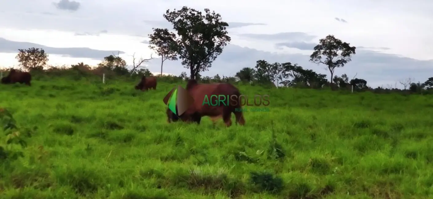 Foto 4 de Fazenda / Haras à venda, 850m2 em Balsas - MA