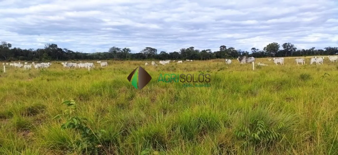 Foto 3 de Fazenda / Haras à venda, 850m2 em Balsas - MA