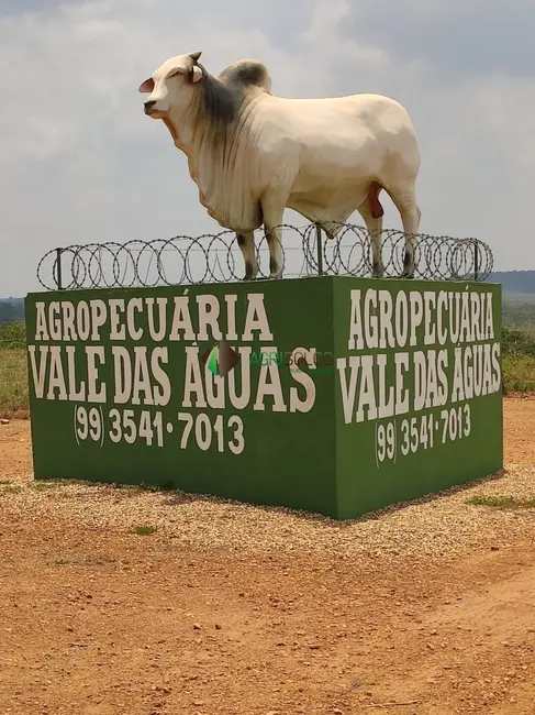 Foto 1 de Fazenda / Haras à venda, 850m2 em Balsas - MA