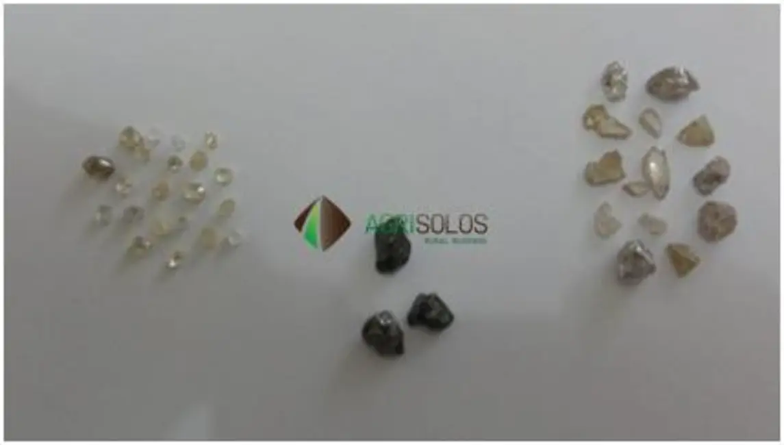 Foto 3 de Chácara à venda, 10000m2 em Belvedere, Belo Horizonte - MG