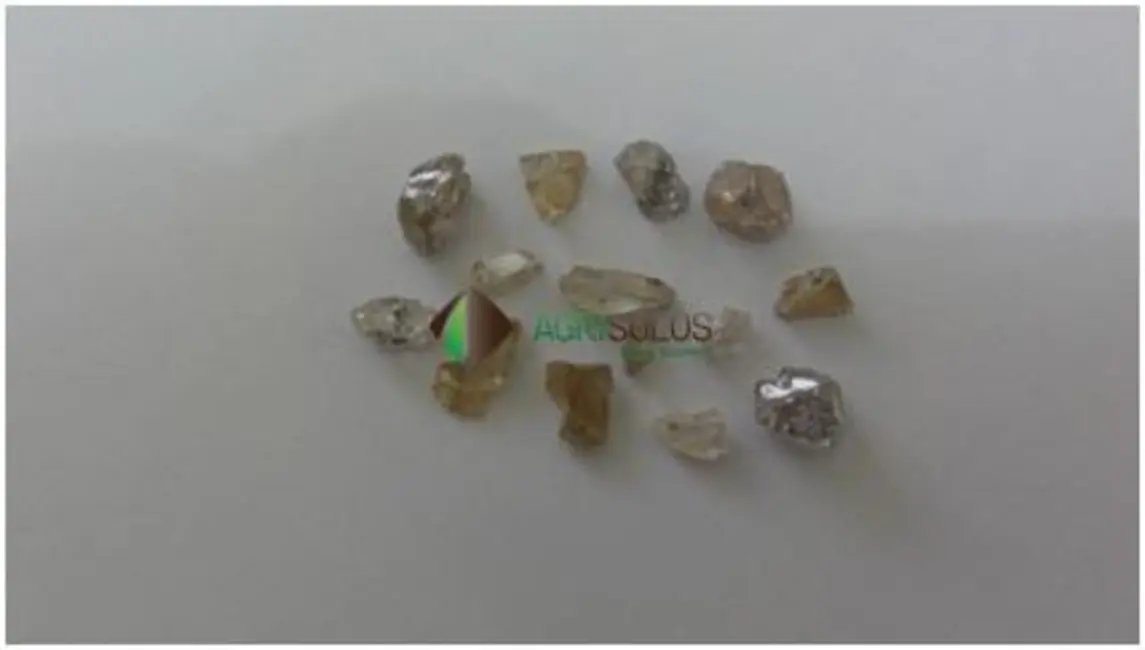 Foto 4 de Chácara à venda, 10000m2 em Belvedere, Belo Horizonte - MG