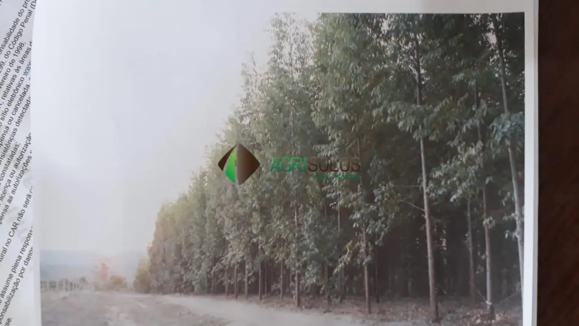 Foto 4 de Fazenda / Haras à venda, 400000m2 em Belo Horizonte - MG