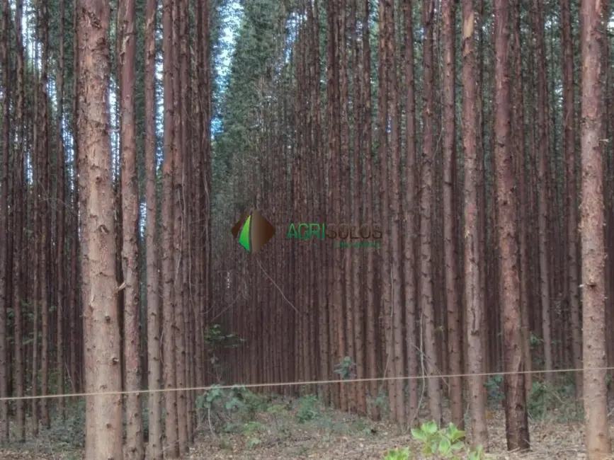 Foto 5 de Fazenda / Haras à venda, 400000m2 em Belo Horizonte - MG