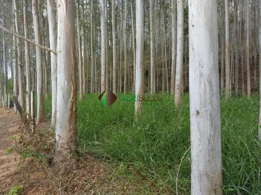 Foto 3 de Fazenda / Haras à venda, 400000m2 em Belo Horizonte - MG