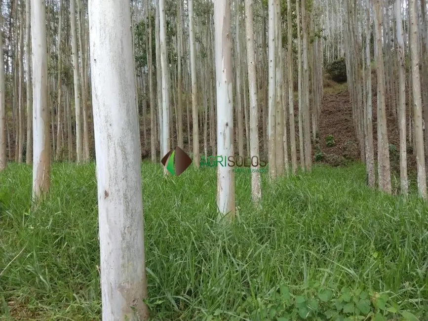 Foto 7 de Fazenda / Haras à venda, 400000m2 em Belo Horizonte - MG