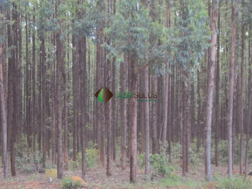 Foto 6 de Fazenda / Haras à venda, 400000m2 em Belo Horizonte - MG