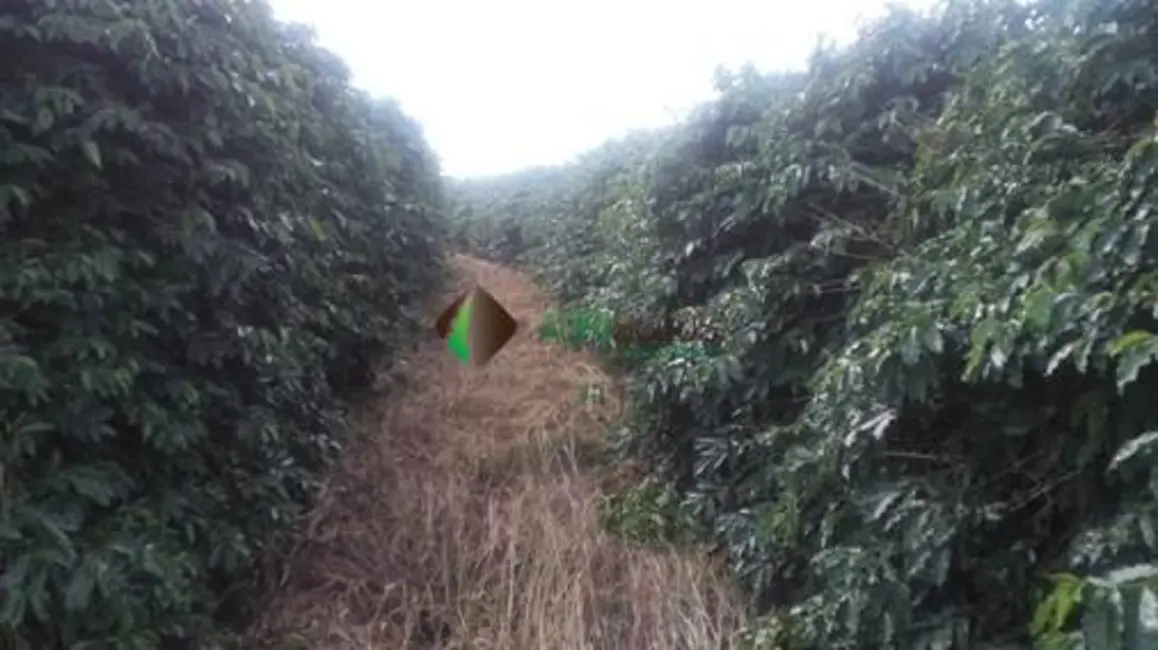 Foto 7 de Fazenda / Haras à venda, 996m2 em Guaxupe - MG