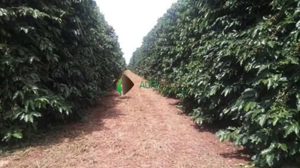 Foto 9 de Fazenda / Haras à venda, 996m2 em Guaxupe - MG