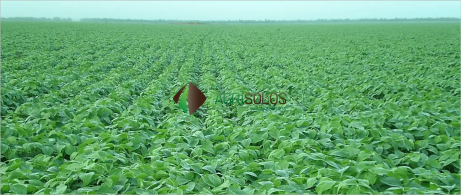 Foto 3 de Fazenda / Haras à venda e para alugar, 10000m2 em Pontes E Lacerda - MT