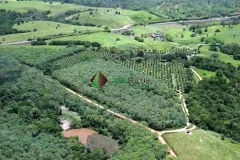 Fazenda / Haras à venda, 4389m2 em Ilheus - BA - imagem 2 Foto 2 de Fazenda / Haras à venda, 4389m2 em Ilheus - BA