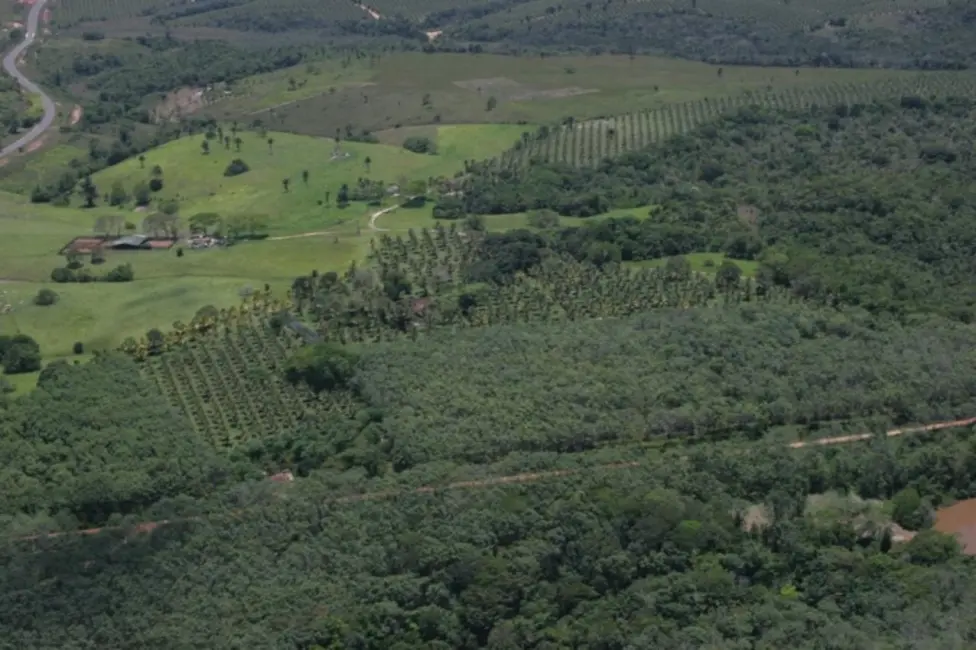 Foto 4 de Fazenda / Haras à venda, 4389m2 em Ilheus - BA