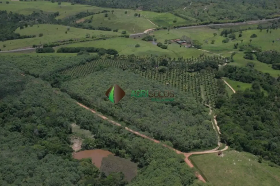 Fazenda / Haras à venda, 4389m2 em Ilheus - BA - imagem 6 Foto 6 de Fazenda / Haras à venda, 4389m2 em Ilheus - BA