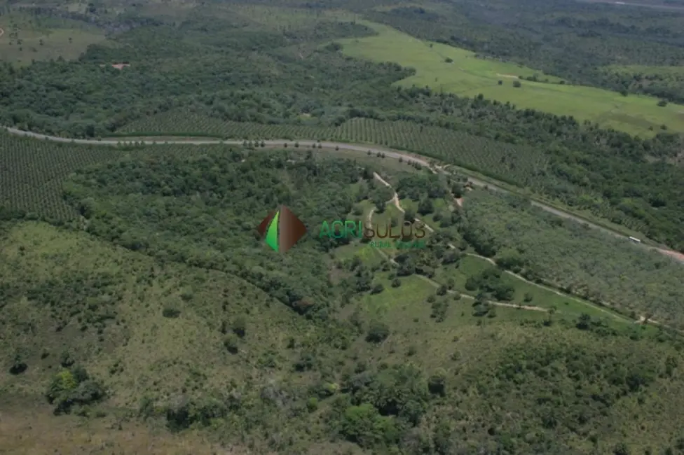Fazenda / Haras à venda, 4389m2 em Ilheus - BA - imagem 5 Foto 5 de Fazenda / Haras à venda, 4389m2 em Ilheus - BA