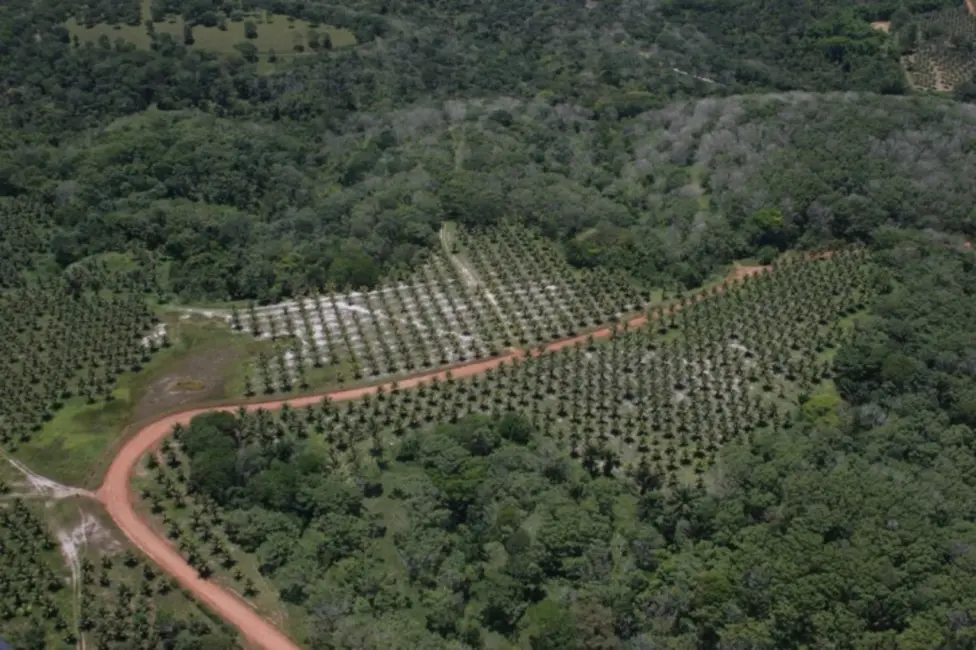 Foto 7 de Fazenda / Haras à venda, 4389m2 em Ilheus - BA