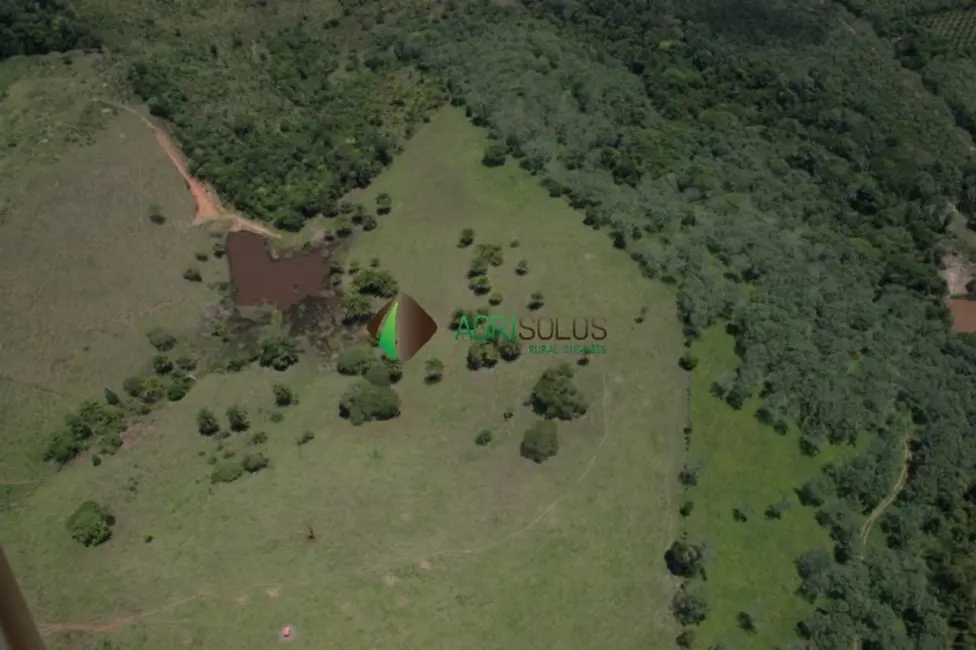 Fazenda / Haras à venda, 4389m2 em Ilheus - BA - imagem 9 Foto 9 de Fazenda / Haras à venda, 4389m2 em Ilheus - BA
