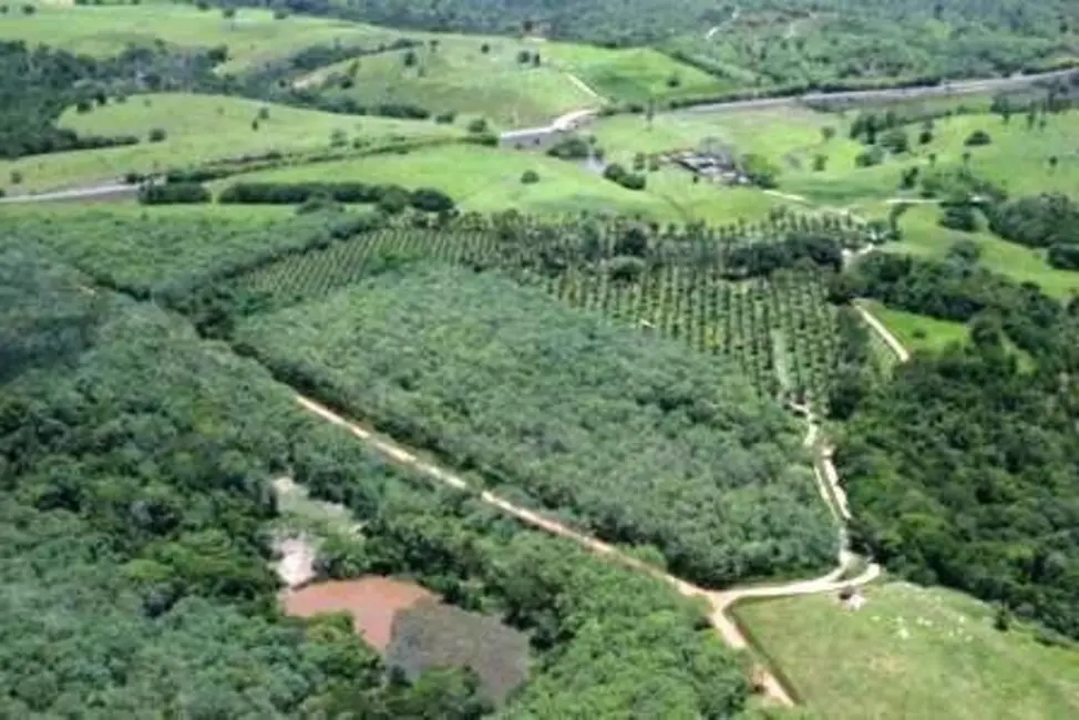 Foto 2 de Fazenda / Haras à venda, 4389m2 em Ilheus - BA