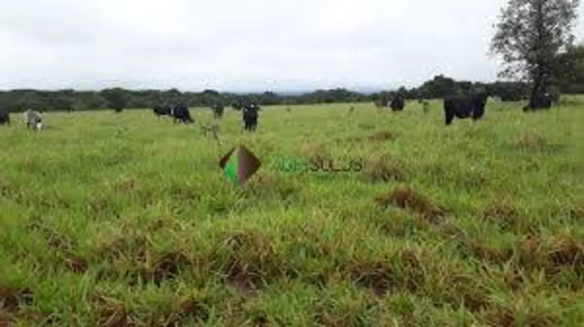 Foto 2 de Fazenda / Haras à venda, 17000m2 em Balsas - MA