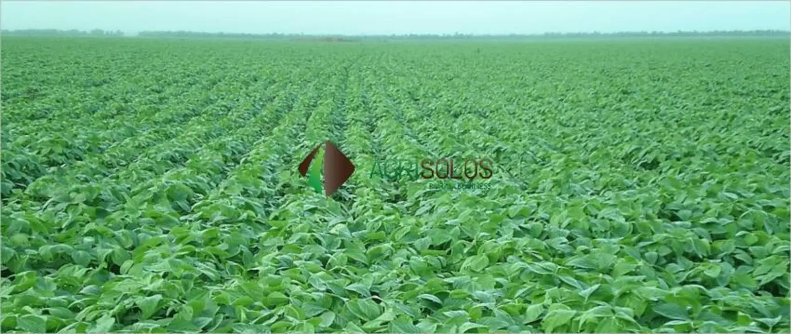 Foto 7 de Fazenda / Haras à venda, 17000m2 em Balsas - MA