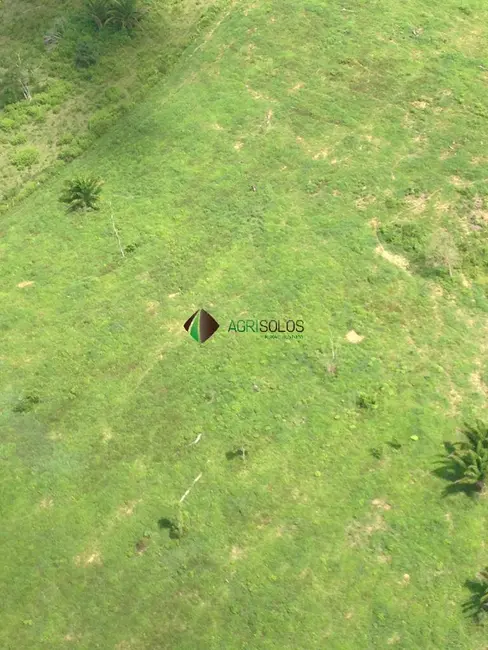 Foto 2 de Fazenda / Haras à venda, 8200m2 em Buriticupu - MA