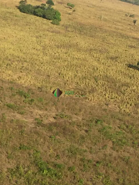 Foto 5 de Fazenda / Haras à venda, 8200m2 em Buriticupu - MA