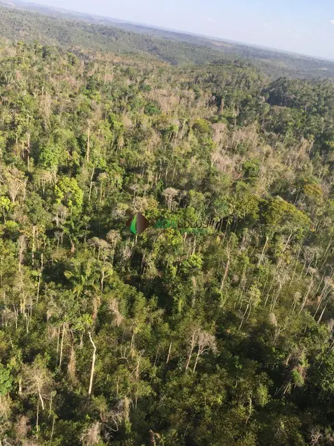 Foto 6 de Fazenda / Haras à venda, 8200m2 em Buriticupu - MA