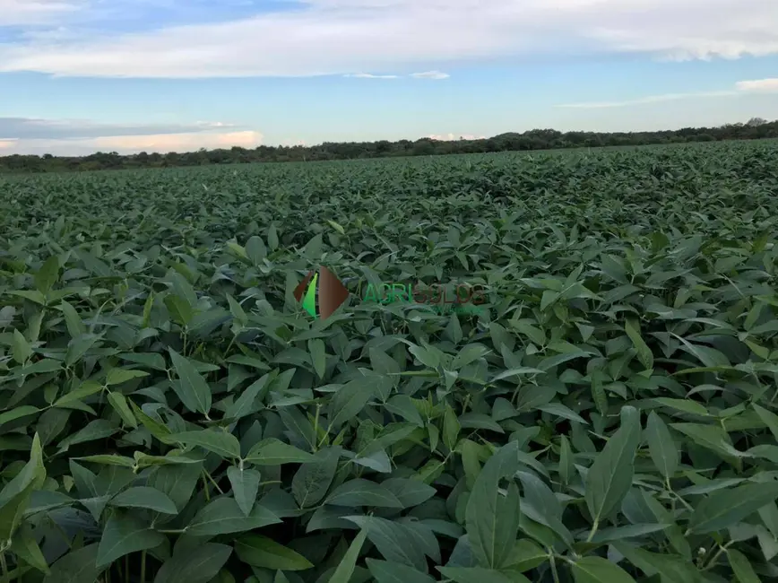 Foto 3 de Fazenda / Haras à venda, 60000m2 em Luis Eduardo Magalhaes - BA