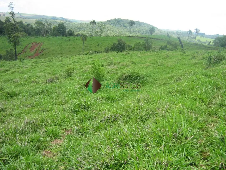 Foto 3 de Chácara à venda, 2395m2 em Guarapuava - PR