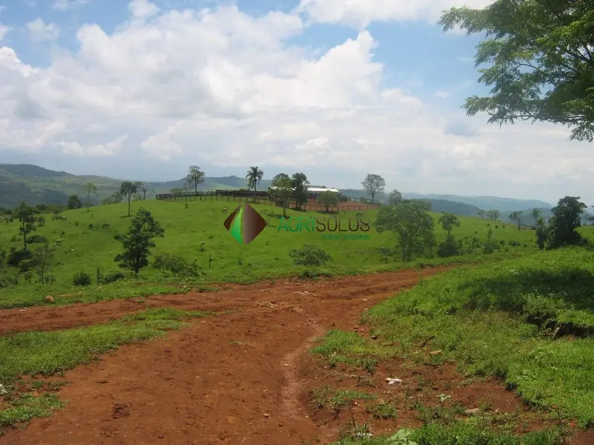 Foto 4 de Chácara à venda, 2395m2 em Guarapuava - PR