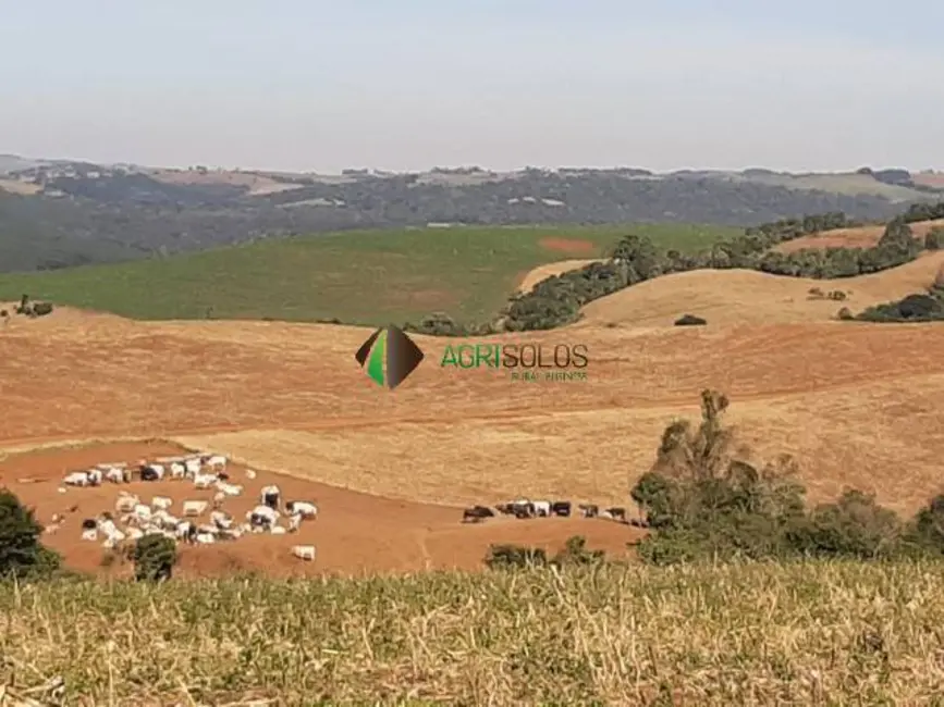 Foto 6 de Chácara à venda, 2395m2 em Guarapuava - PR