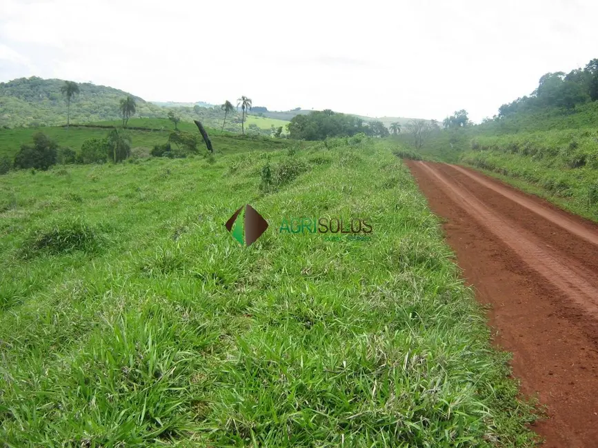 Foto 5 de Chácara à venda, 2395m2 em Guarapuava - PR