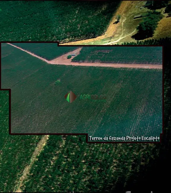 Foto 8 de Fazenda / Haras à venda, 10000m2 em Cocalinho - MT