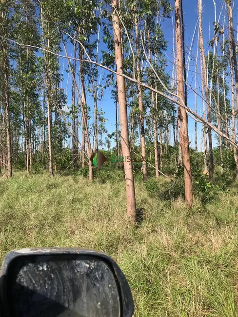 Foto 4 de Fazenda / Haras à venda, 10000m2 em Cocalinho - MT
