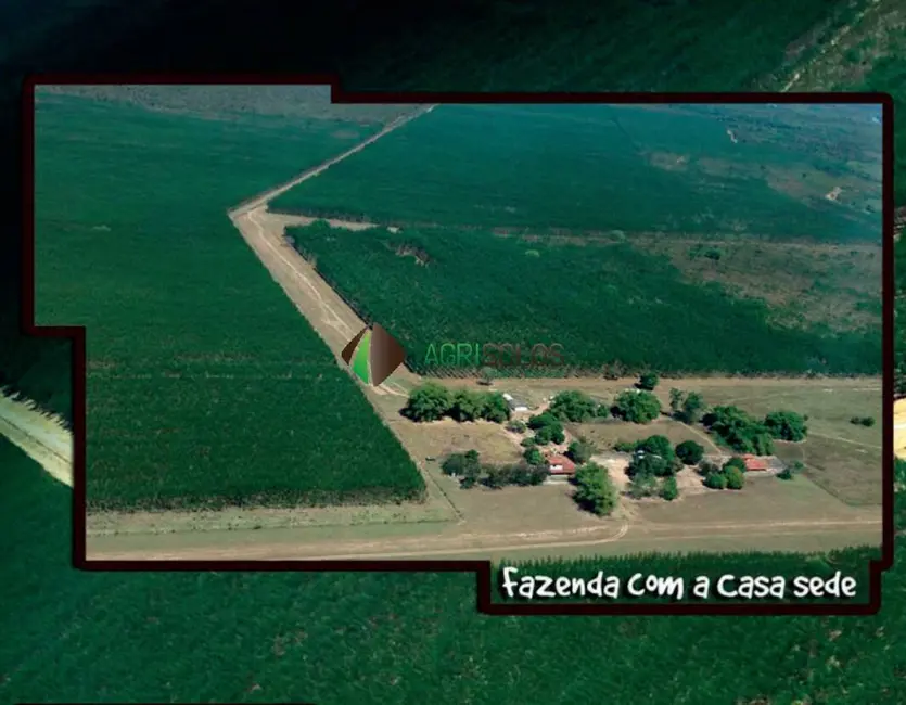 Foto 1 de Fazenda / Haras à venda, 10000m2 em Cocalinho - MT