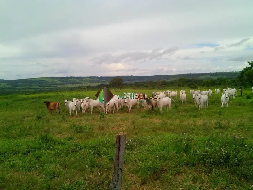 Fazenda / Haras à venda, 10416m2 em Primavera Do Leste - MT - imagem 5 Foto 5 de Fazenda / Haras à venda, 10416m2 em Primavera Do Leste - MT