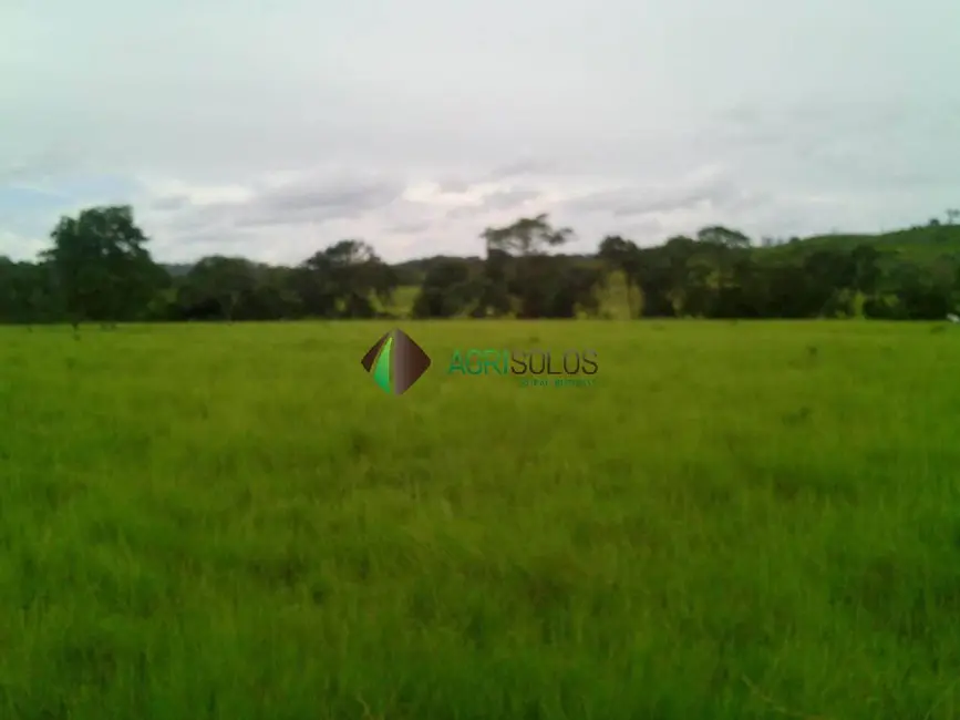 Fazenda / Haras à venda, 10416m2 em Primavera Do Leste - MT - imagem 4 Foto 4 de Fazenda / Haras à venda, 10416m2 em Primavera Do Leste - MT