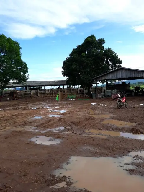 Foto 10 de Fazenda / Haras à venda, 4200m2 em Sao Felix Do Xingu - PA